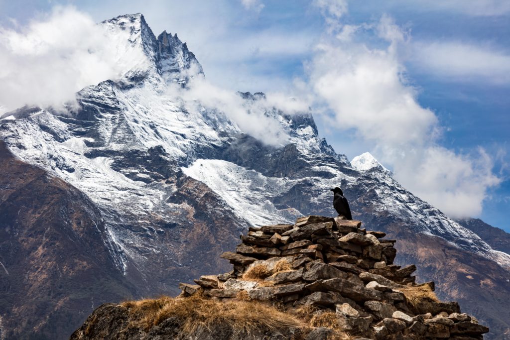 A lone crow perched on a rock cairn with a snow-covered Himalayan peak rising behind it under a partly cloudy sky