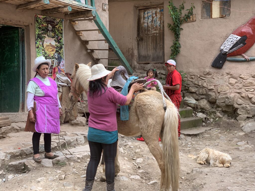 Women in traditional hats prepare a white horse for travel in a rustic village courtyard while a child and man watch nearby; a dog lies resting on the ground, and a painted bird mural decorates the wall.